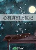 心机寡妇上位记晋江
