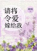 请将令爱嫁给我晋江