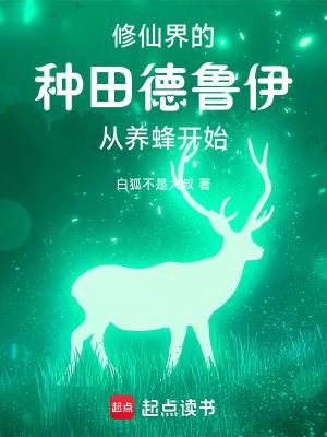德鲁伊啥意思