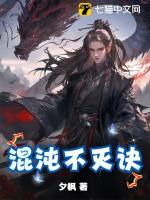 混沌不灭诀 有风潜入梦