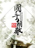 国手朝歌txt百度